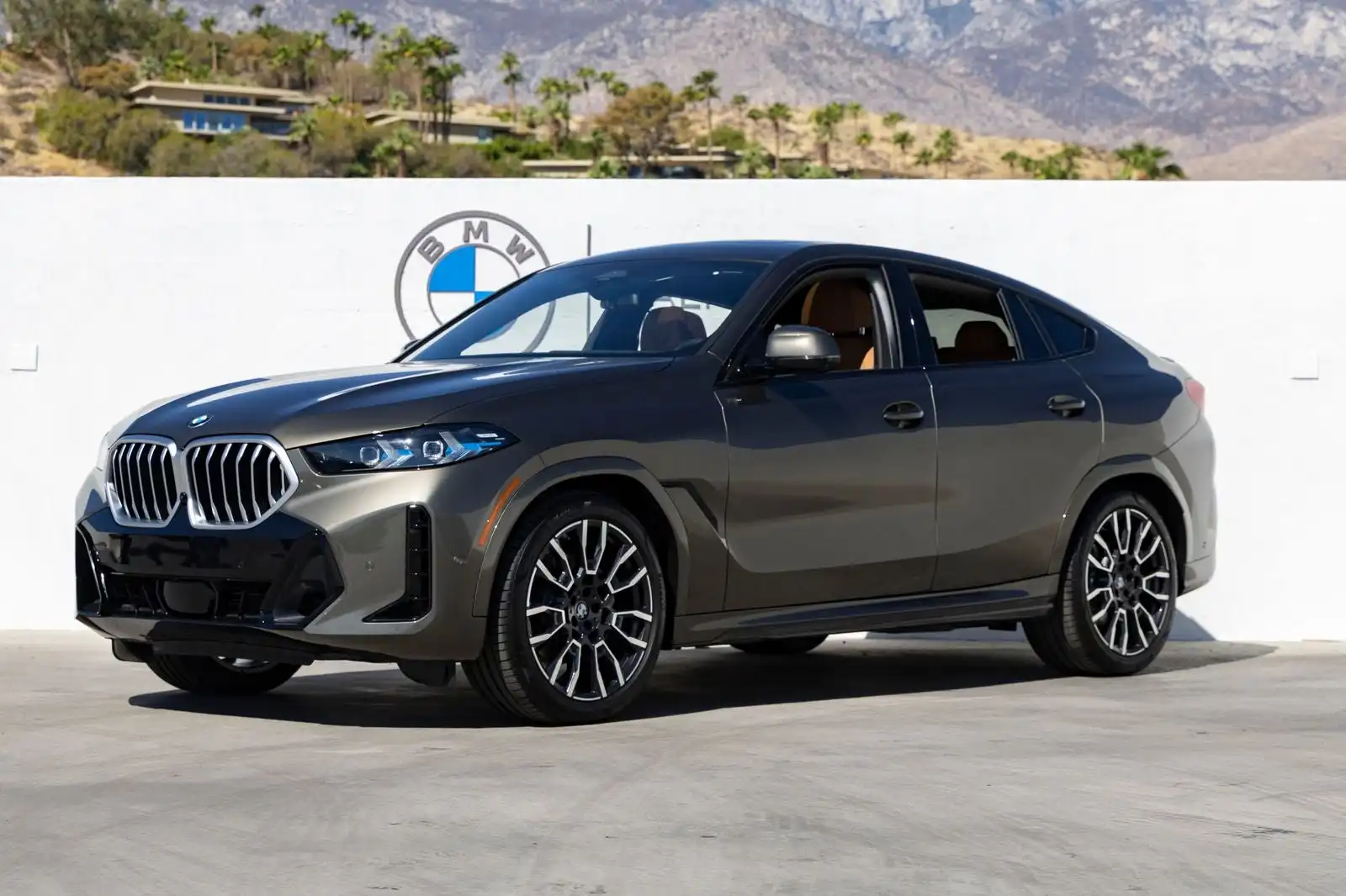 2026 BMW X6 xDrive40i's photo