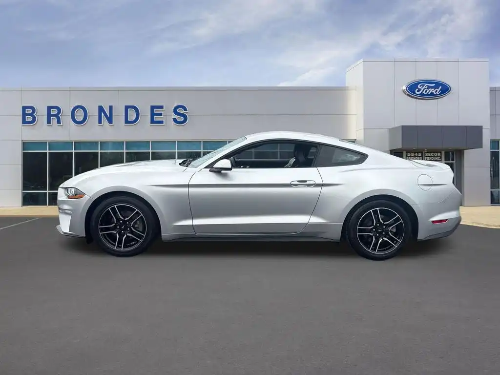 2019 Ford Mustang EcoBoost Coupe Premium's photo