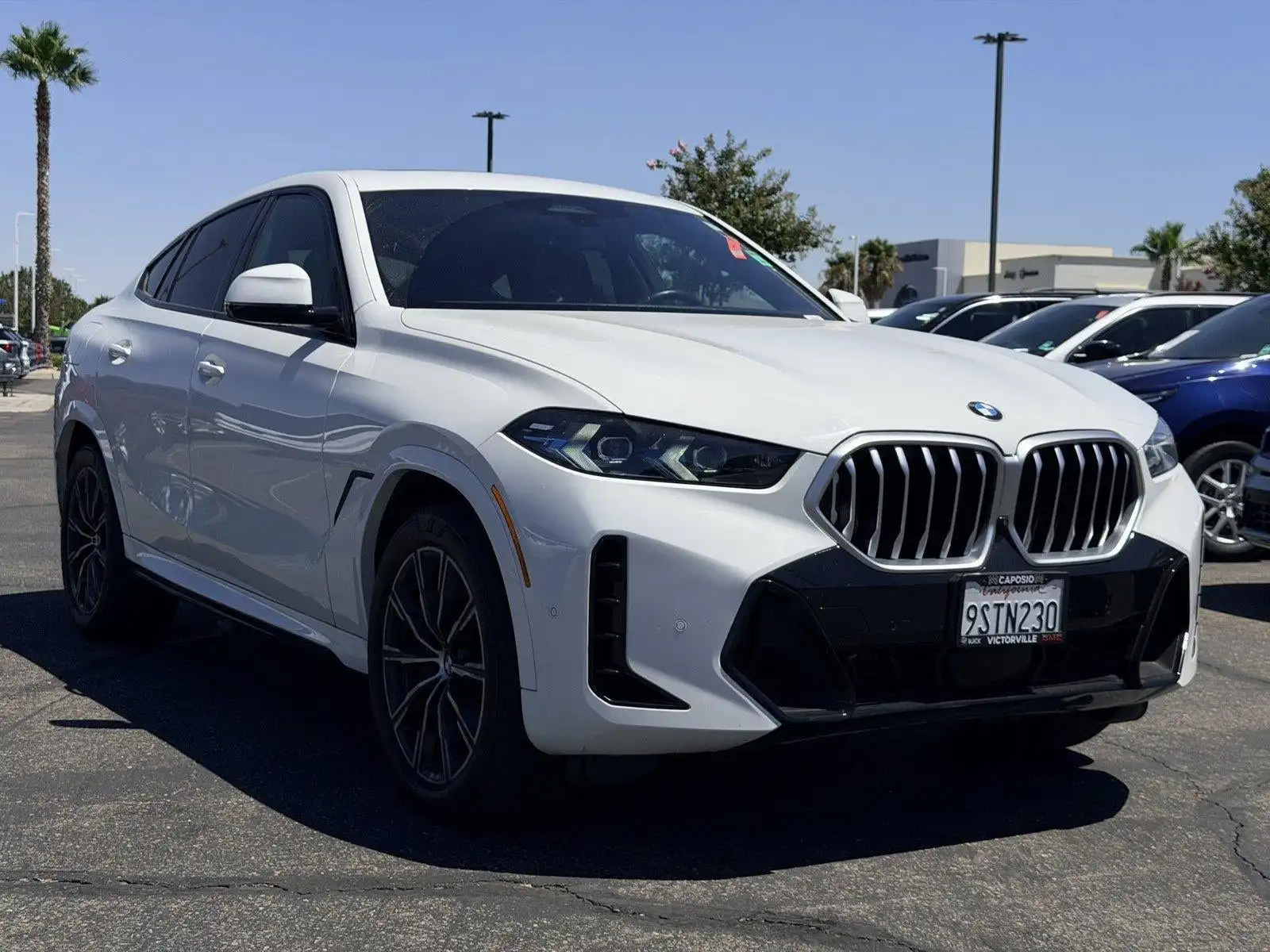 2025 BMW X6 xDrive40i's photo
