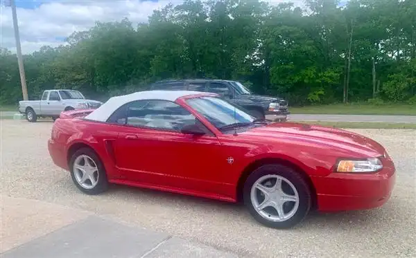 1999 Ford Mustang GT V8's photo