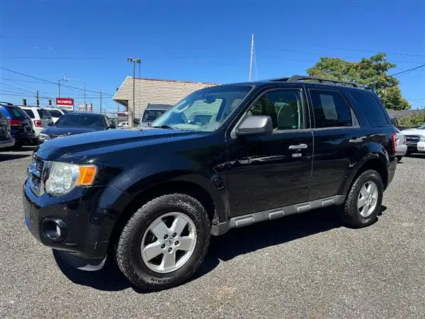 2012 Ford Escape XLT's photo