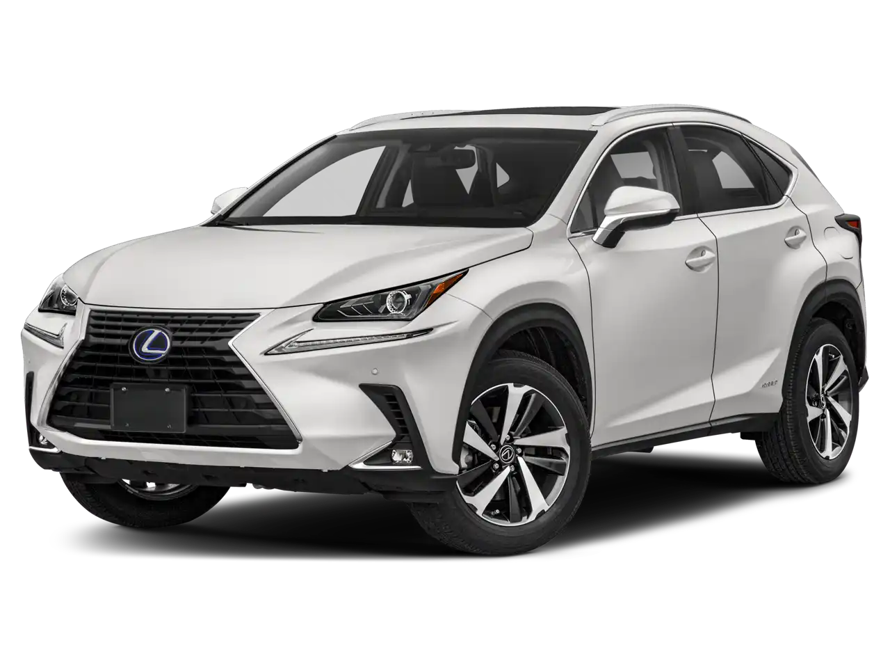 2020 Lexus NX 350h 300h AWD's photo