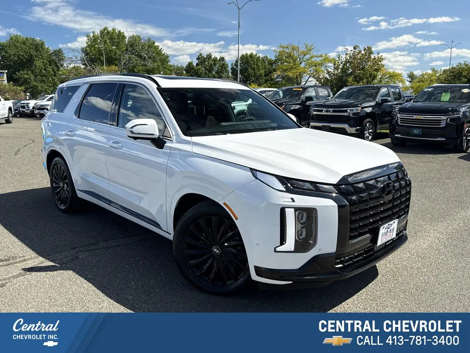 2024 Hyundai Palisade Calligraphy AWD Night Edition's photo