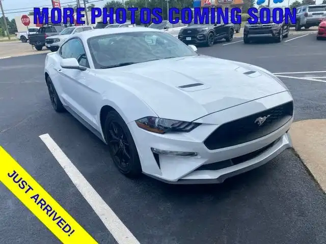 2019 Ford Mustang EcoBoost Coupe's photo