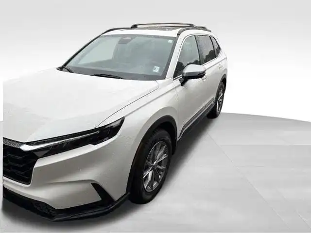 2025 Honda CR-V EX-L AWD's photo