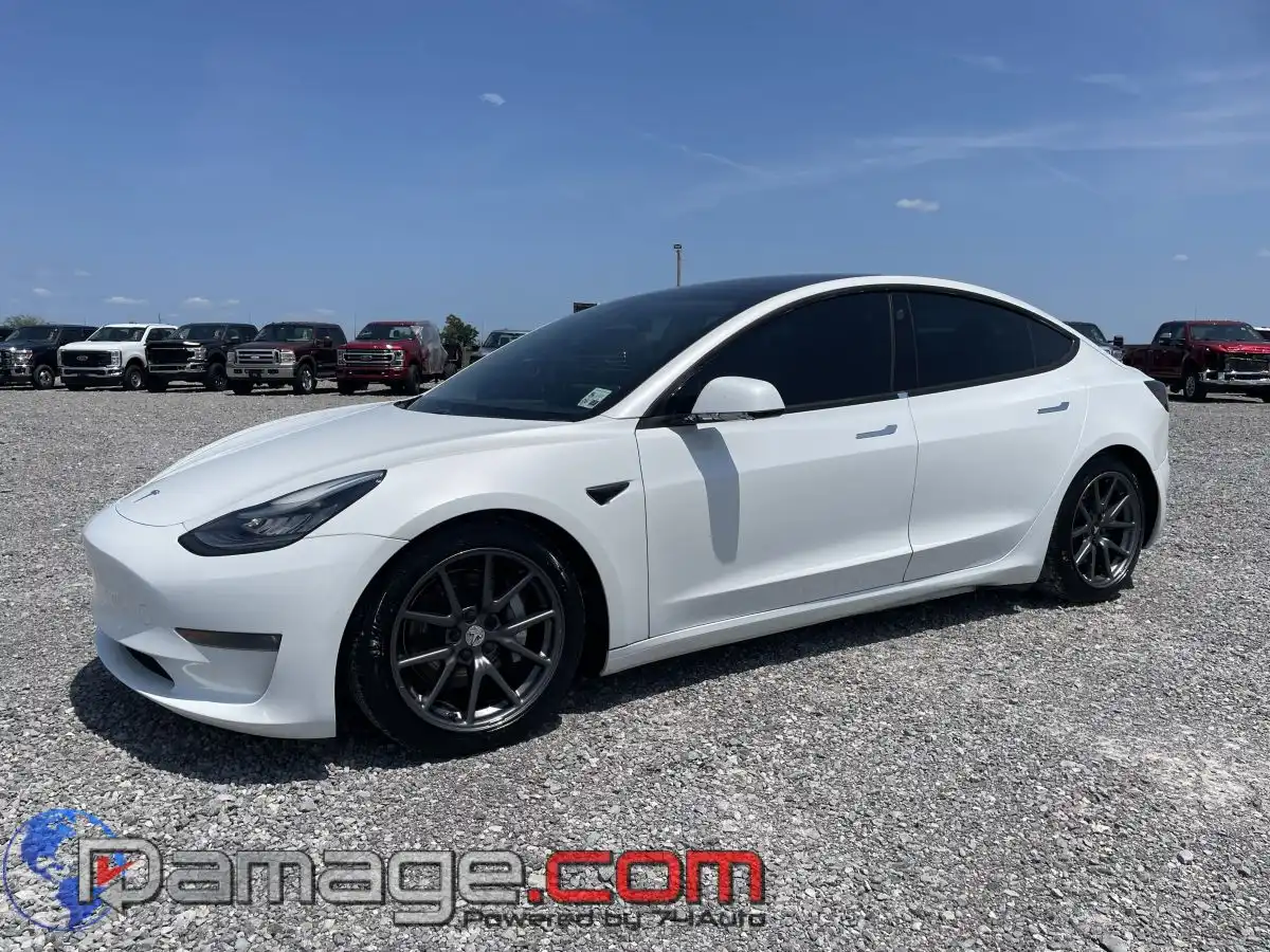 2020 Tesla Model 3 Long Range Dual Motor All-Wheel Drive's photo