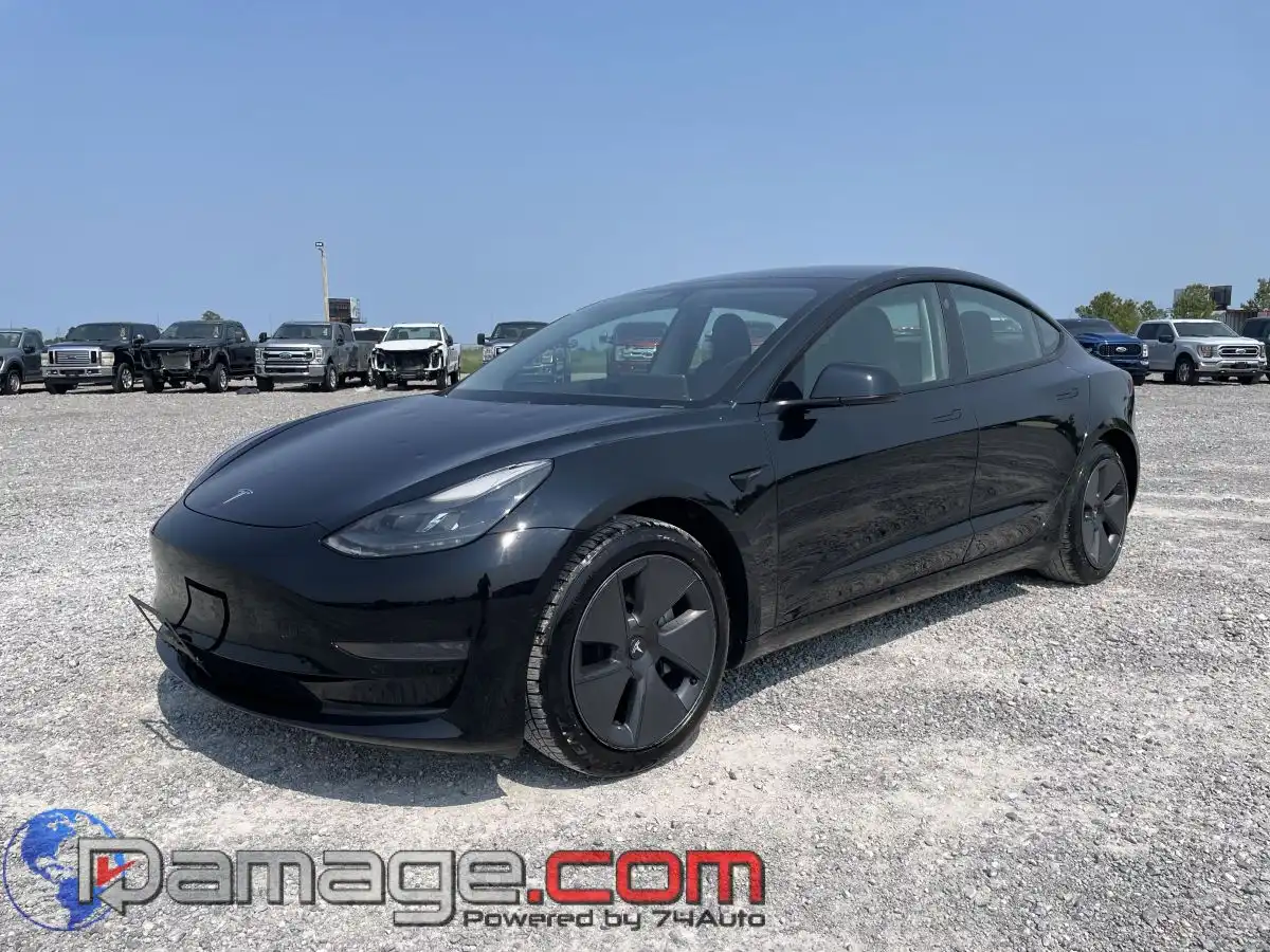 2021 Tesla Model 3 Standard Range Plus's photo