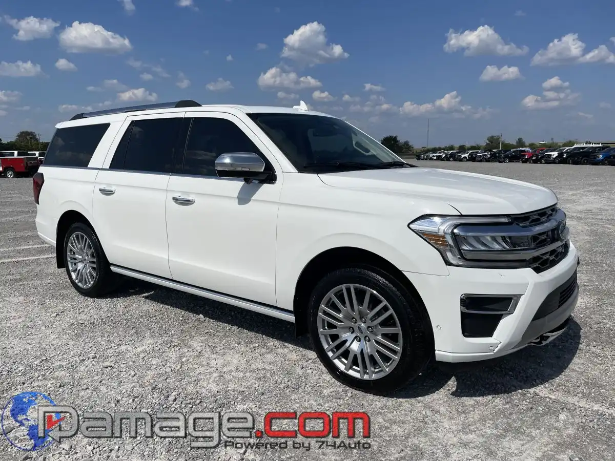 2024 Ford Expedition Platinum 4WD MAX's photo