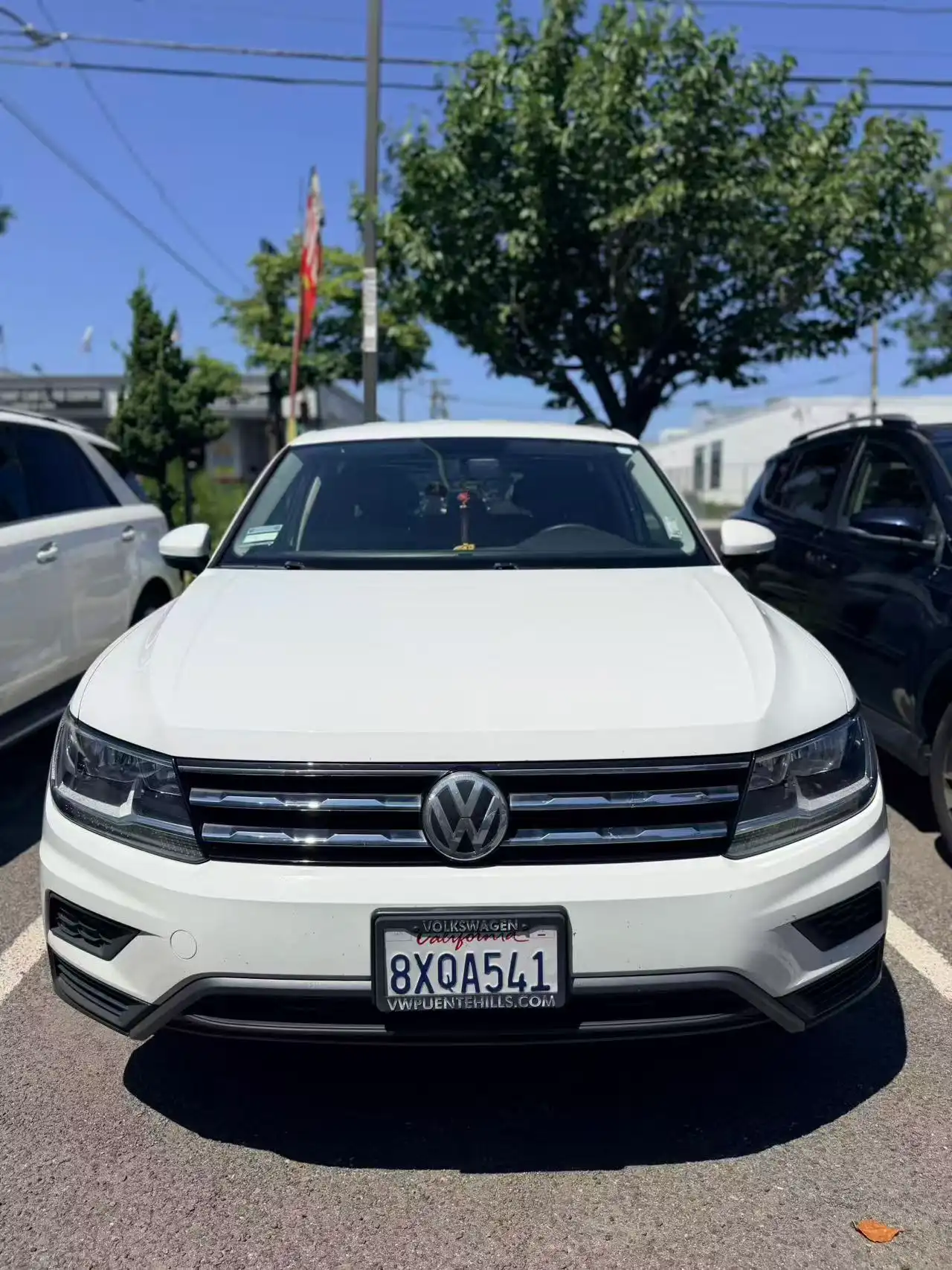 2021 Volkswagen Tiguan 2.0T S's photo