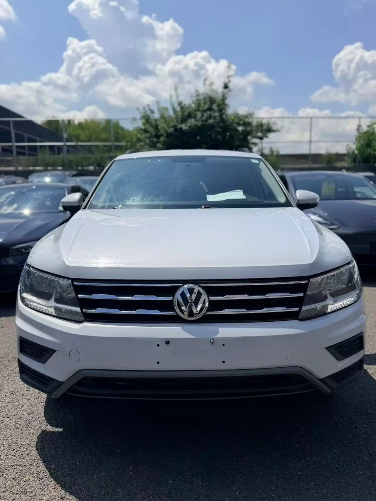 2019 Volkswagen Tiguan 2.0T S 4Motion's photo
