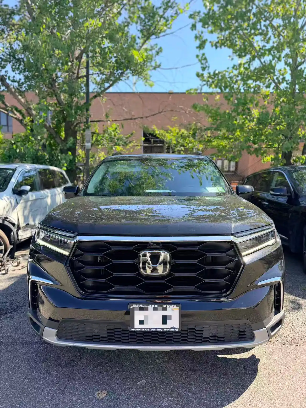 2023 Honda Pilot Elite AWD's photo