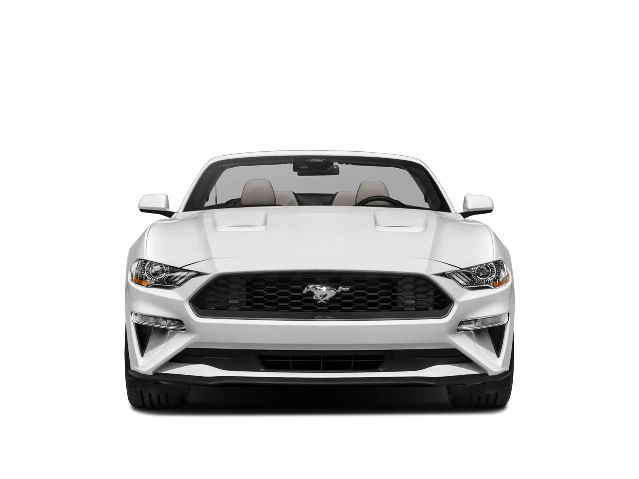 2023 Ford Mustang EcoBoost Convertible photo 4