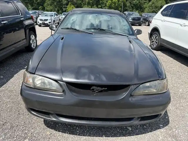 1998 Ford Mustang GT V8's photo