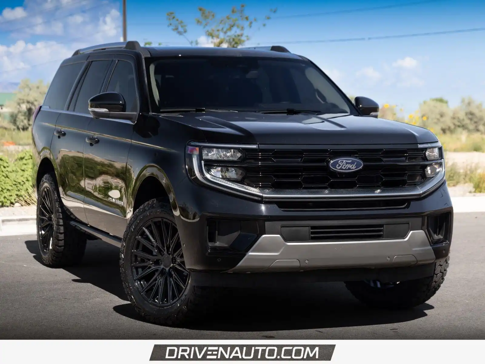 2025 Ford Expedition Platinum 4x4's photo