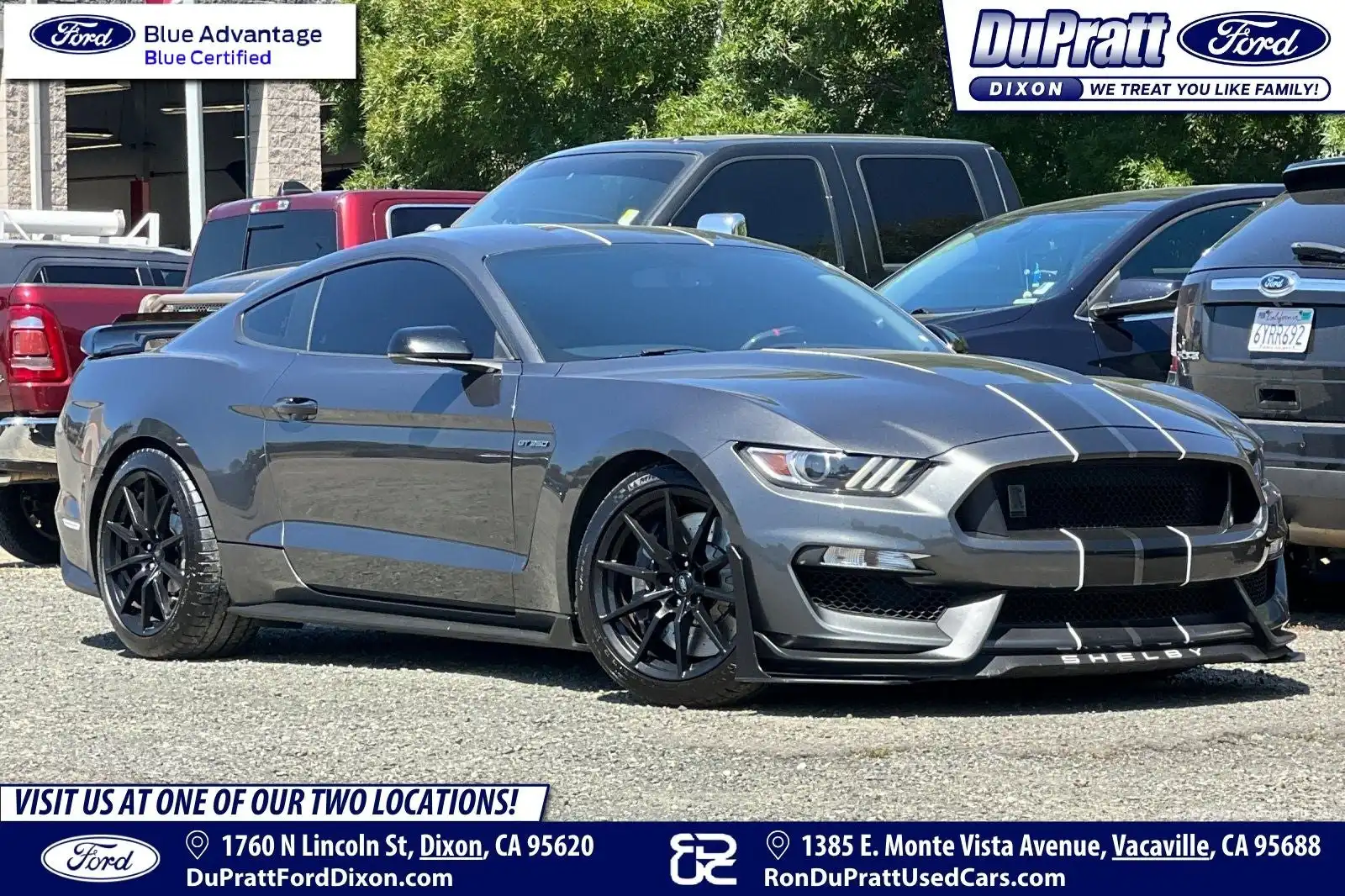 2017 Ford Mustang Shelby GT350's photo