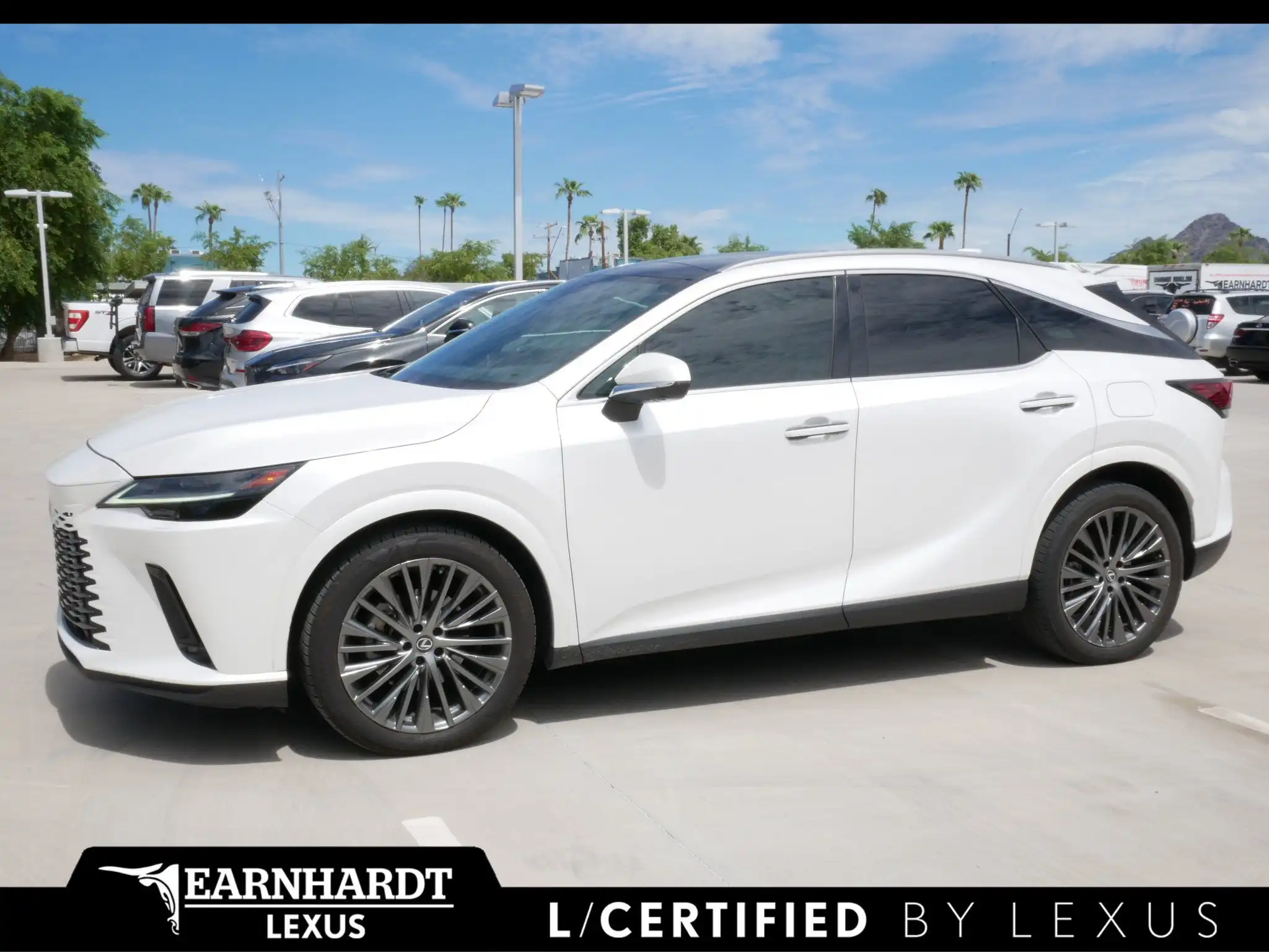 2023 Lexus RX 350h 350h Premium Plus AWD's photo