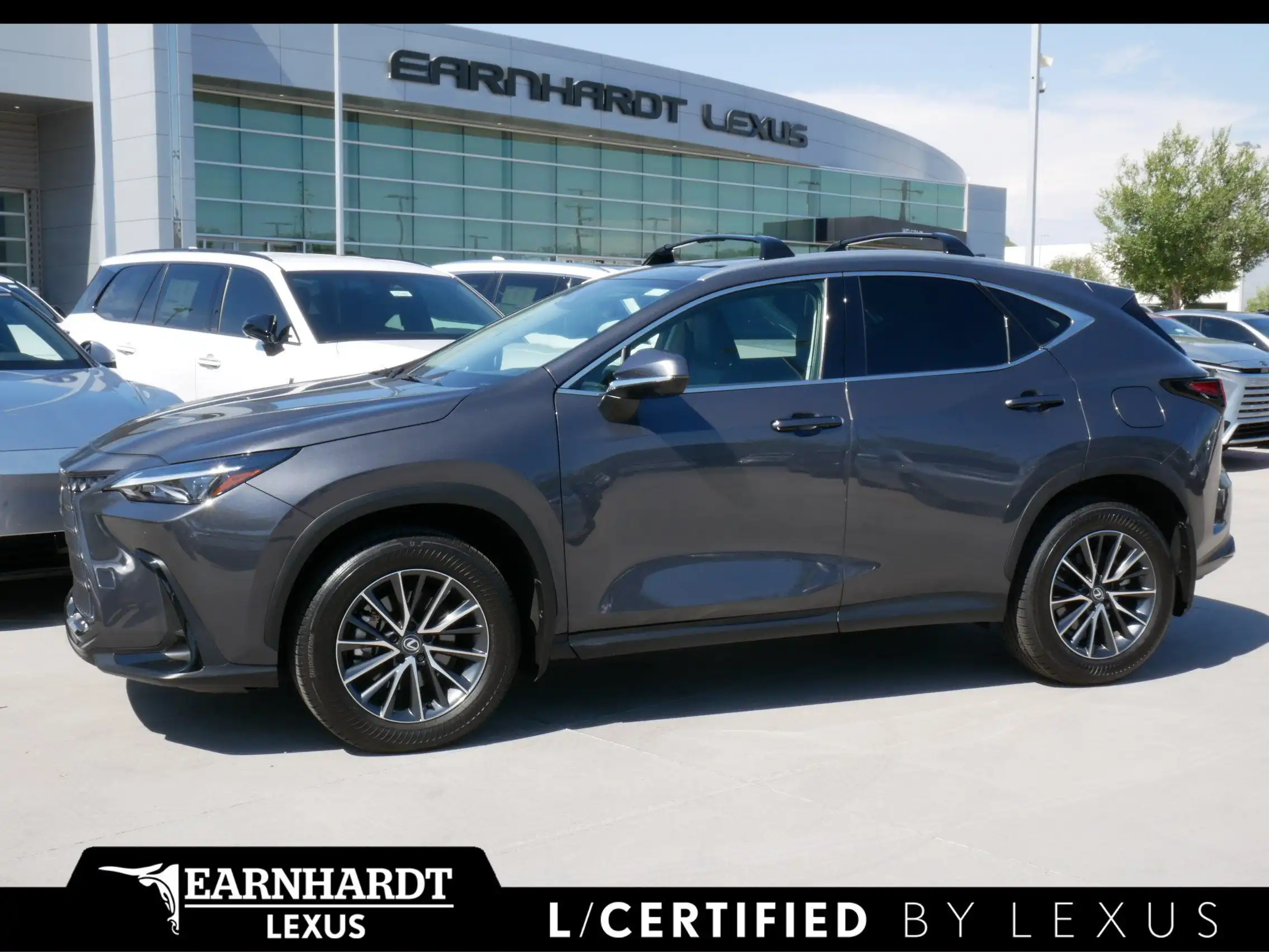 2025 Lexus NX 350 350 Premium AWD's photo