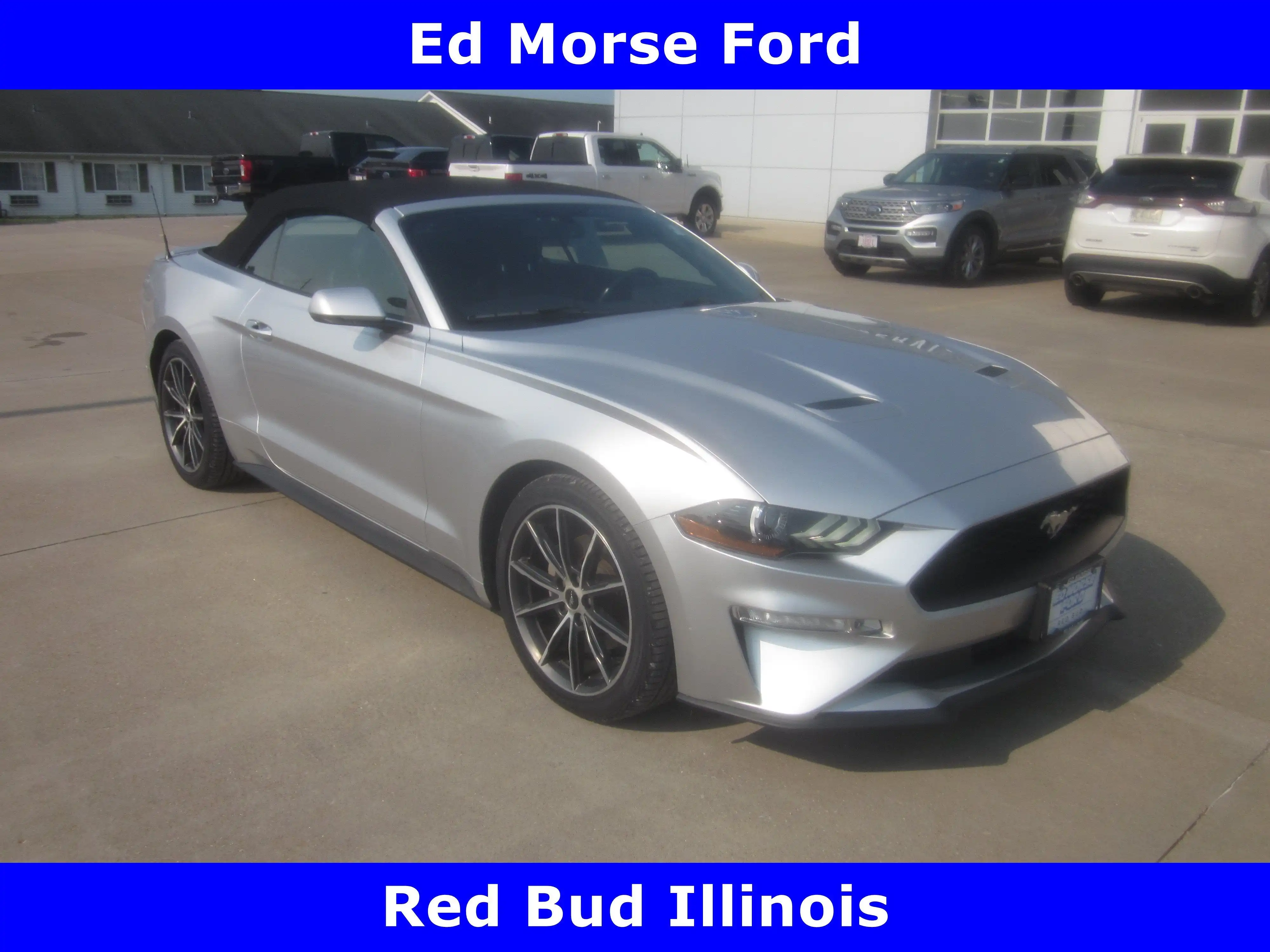 2018 Ford Mustang EcoBoost Convertible Premium's photo