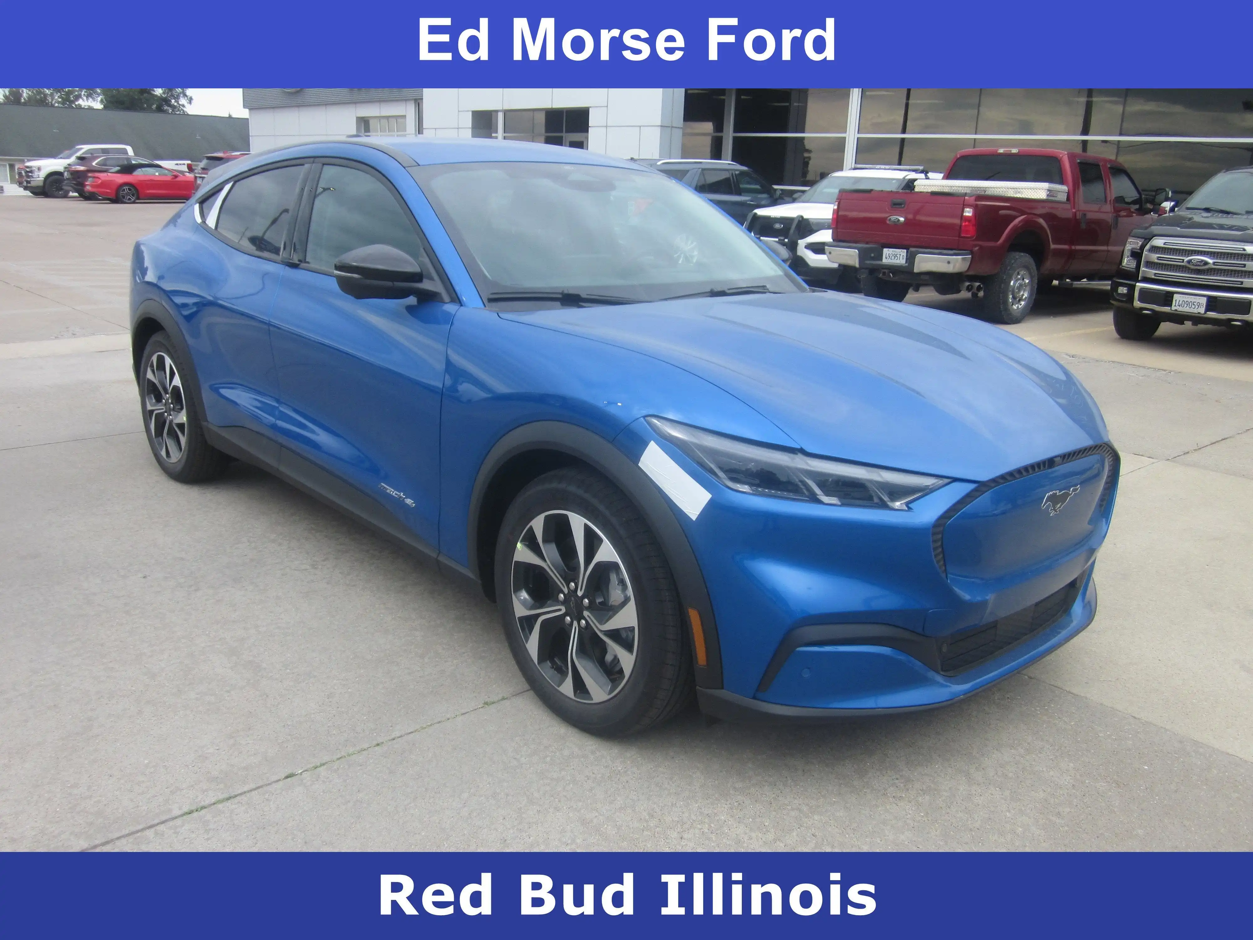 2025 Ford Mustang-Mach-e Select's photo