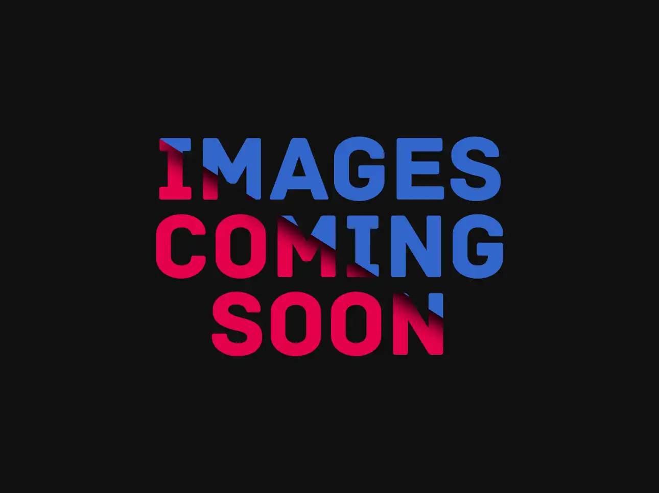 2009 Ford Focus SE's photo