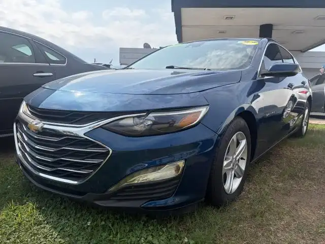 2019 Chevrolet Malibu 1FL Fleet's photo