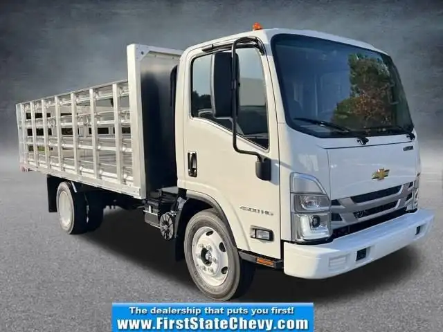 2025 Chevrolet Low Cab Forward 4500 Gas 176" WB Regular Cab's photo