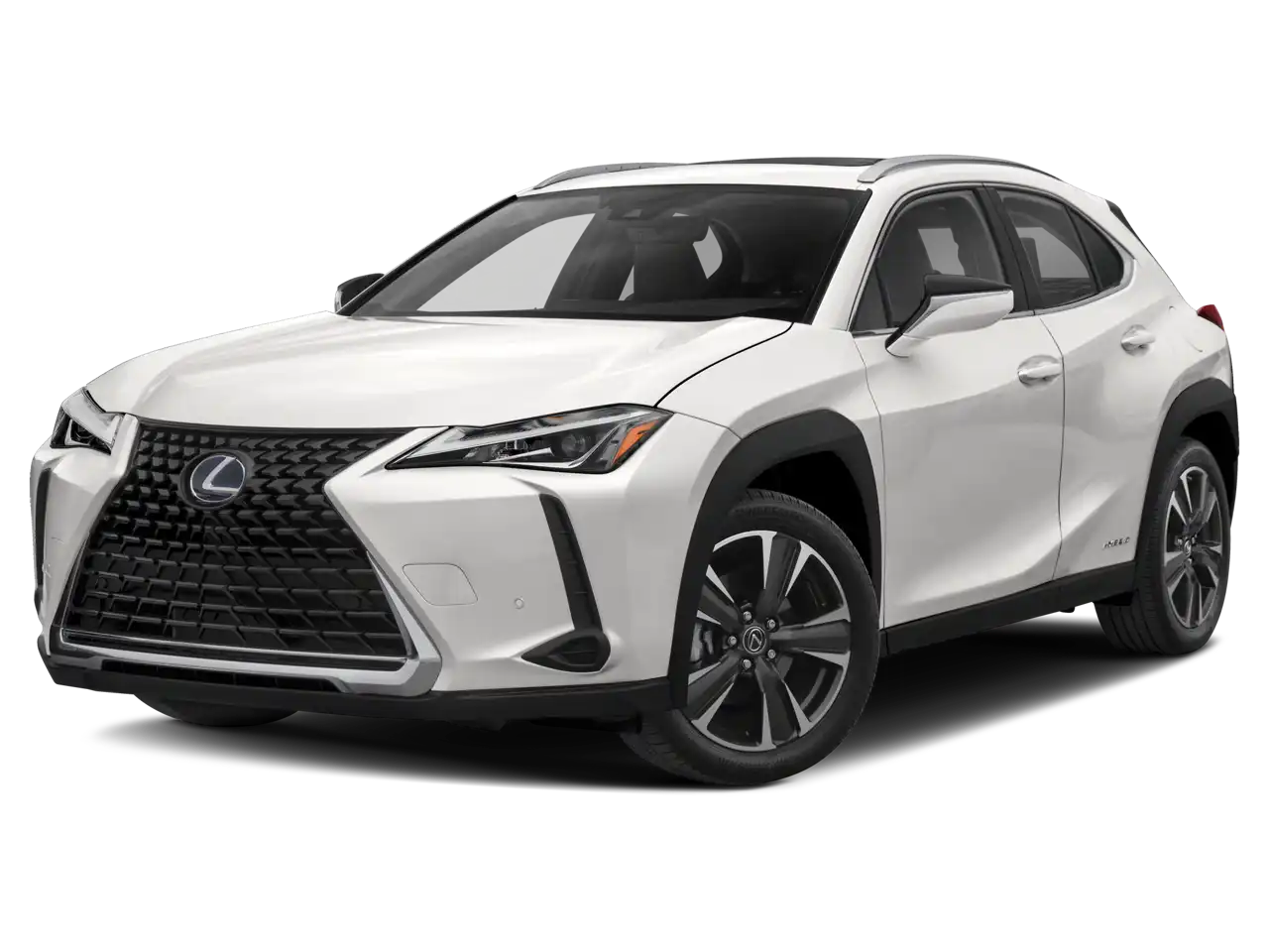 2020 Lexus UX 300h 250h AWD's photo