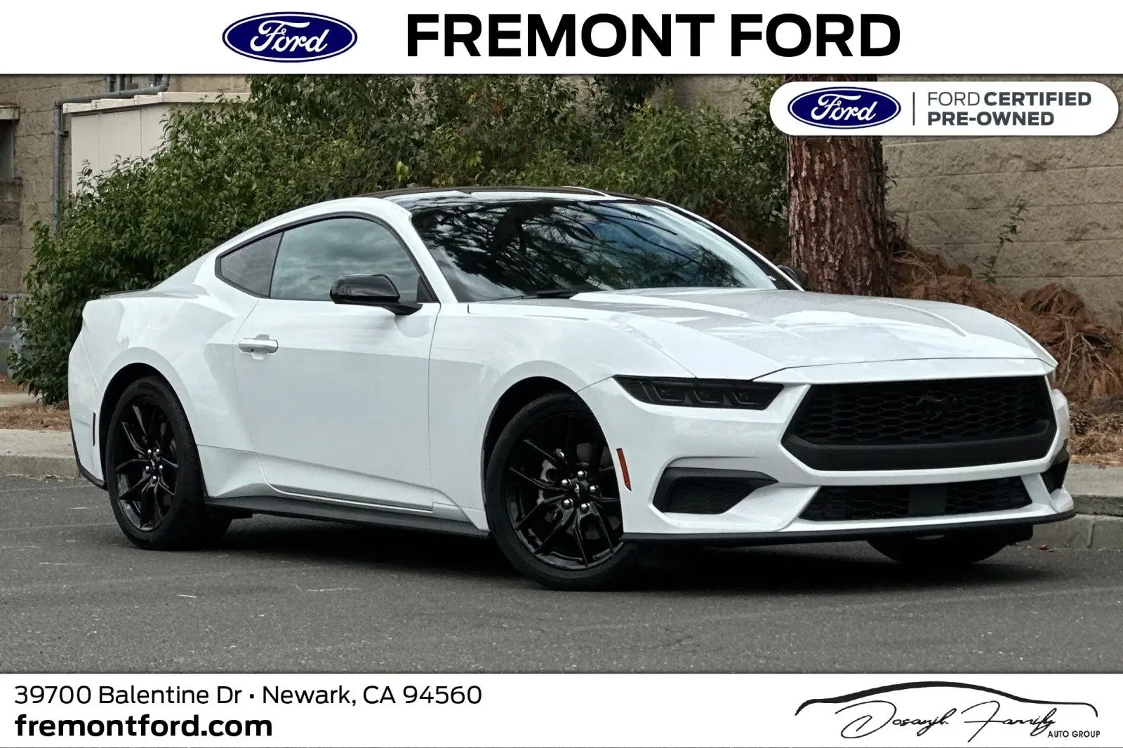 2024 Ford Mustang EcoBoost Fastback photo 1