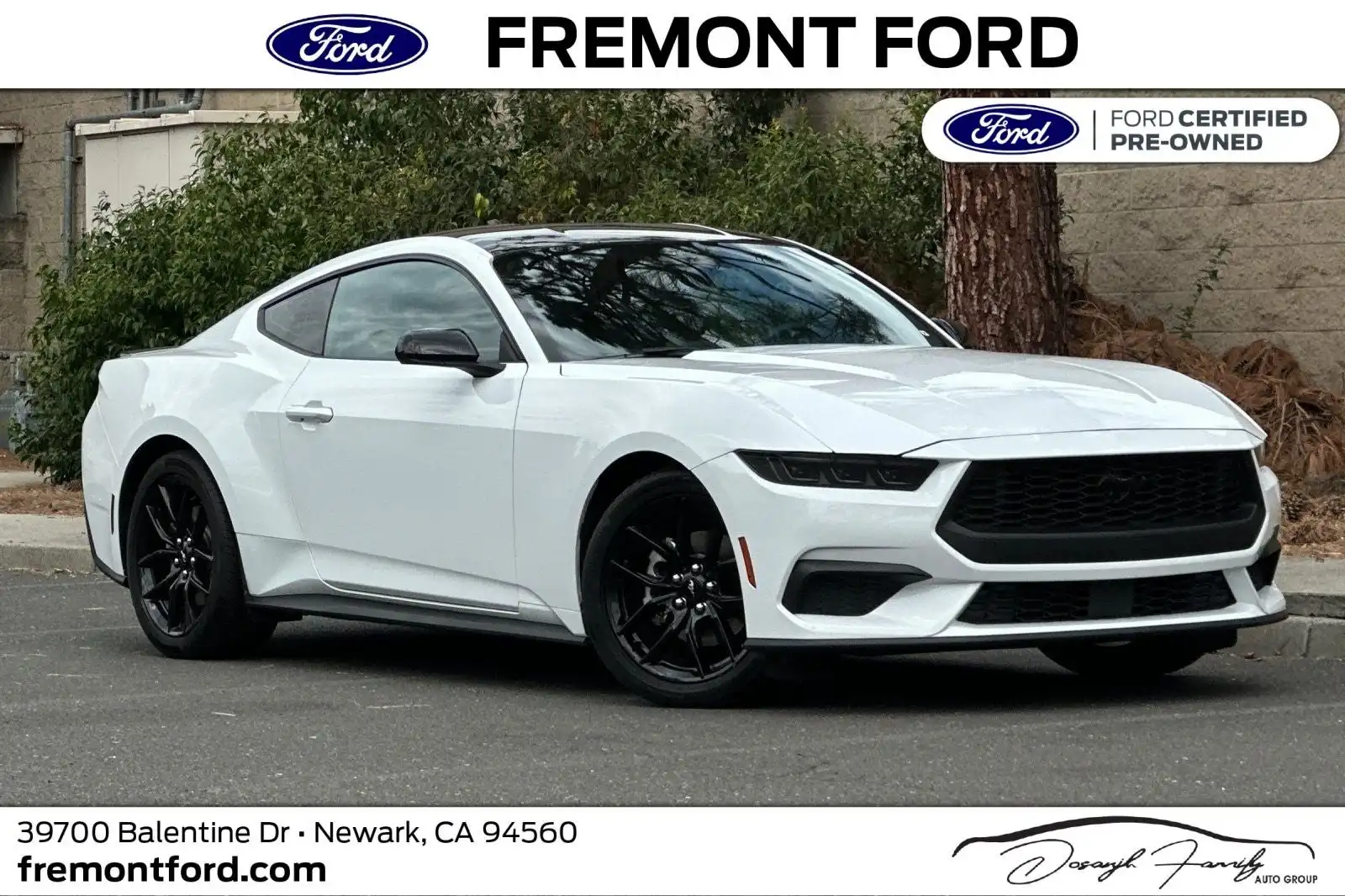 2024 Ford Mustang EcoBoost Fastback's photo