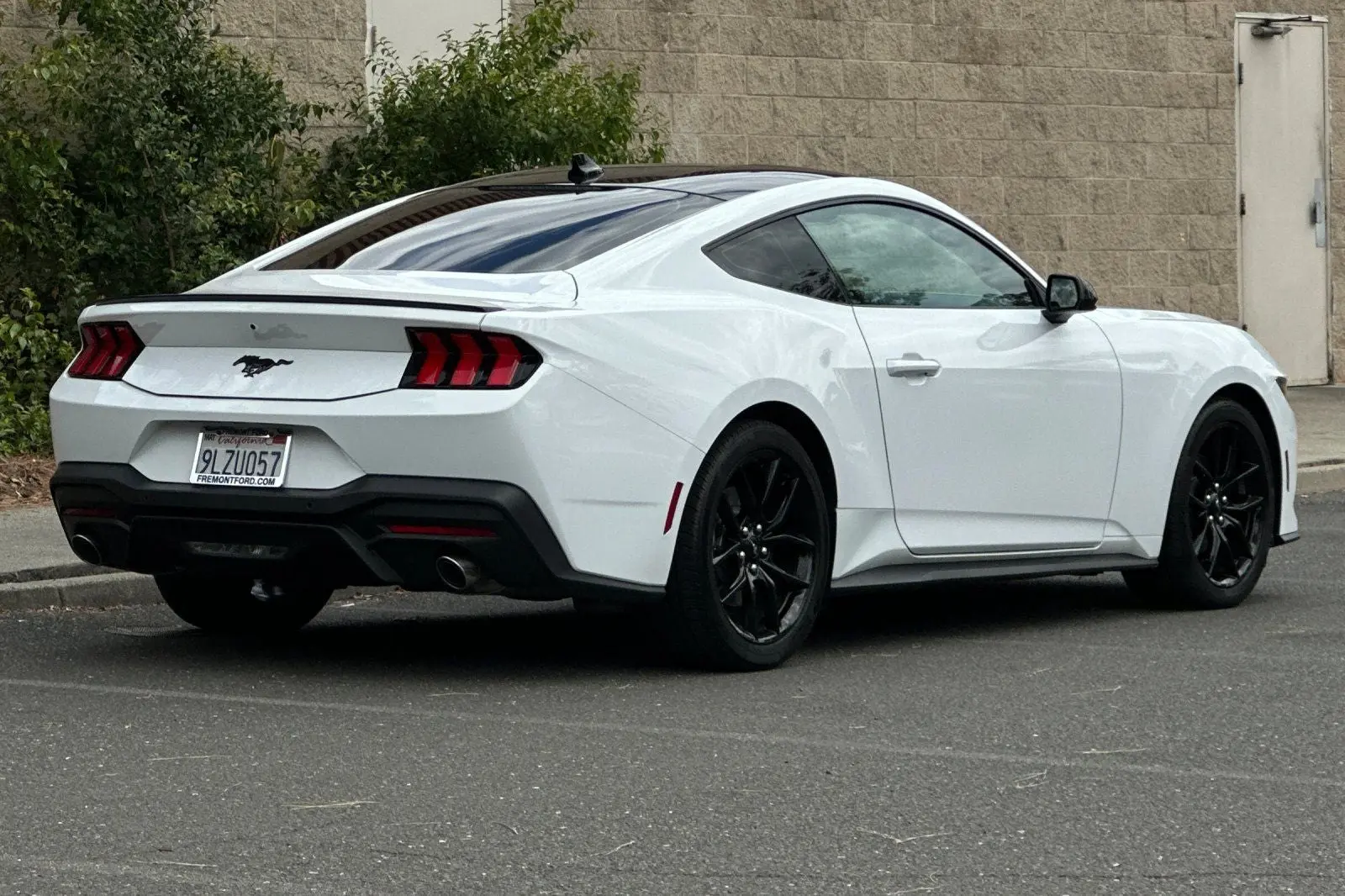 2024 Ford Mustang EcoBoost Fastback photo 3