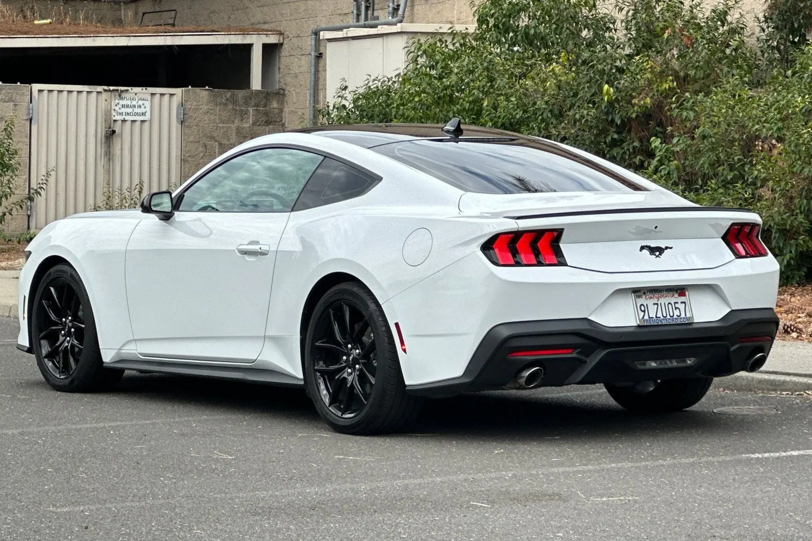2024 Ford Mustang EcoBoost Fastback photo 5