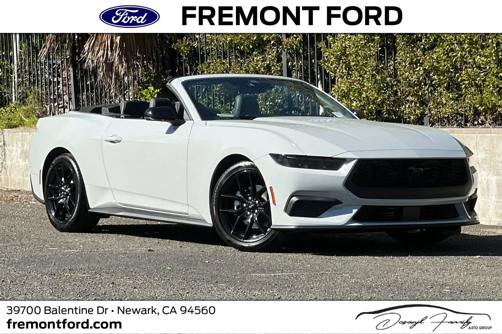 2026 Ford Mustang EcoBoost Premium Convertible's photo