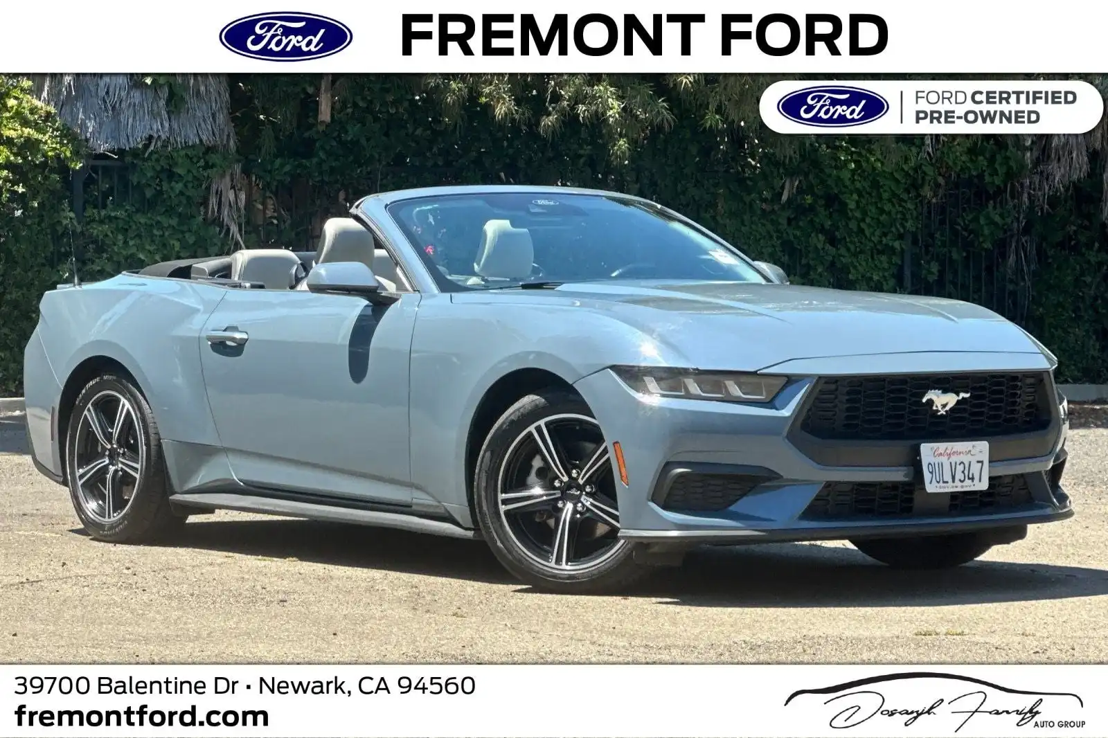 2024 Ford Mustang EcoBoost Premium Convertible's photo