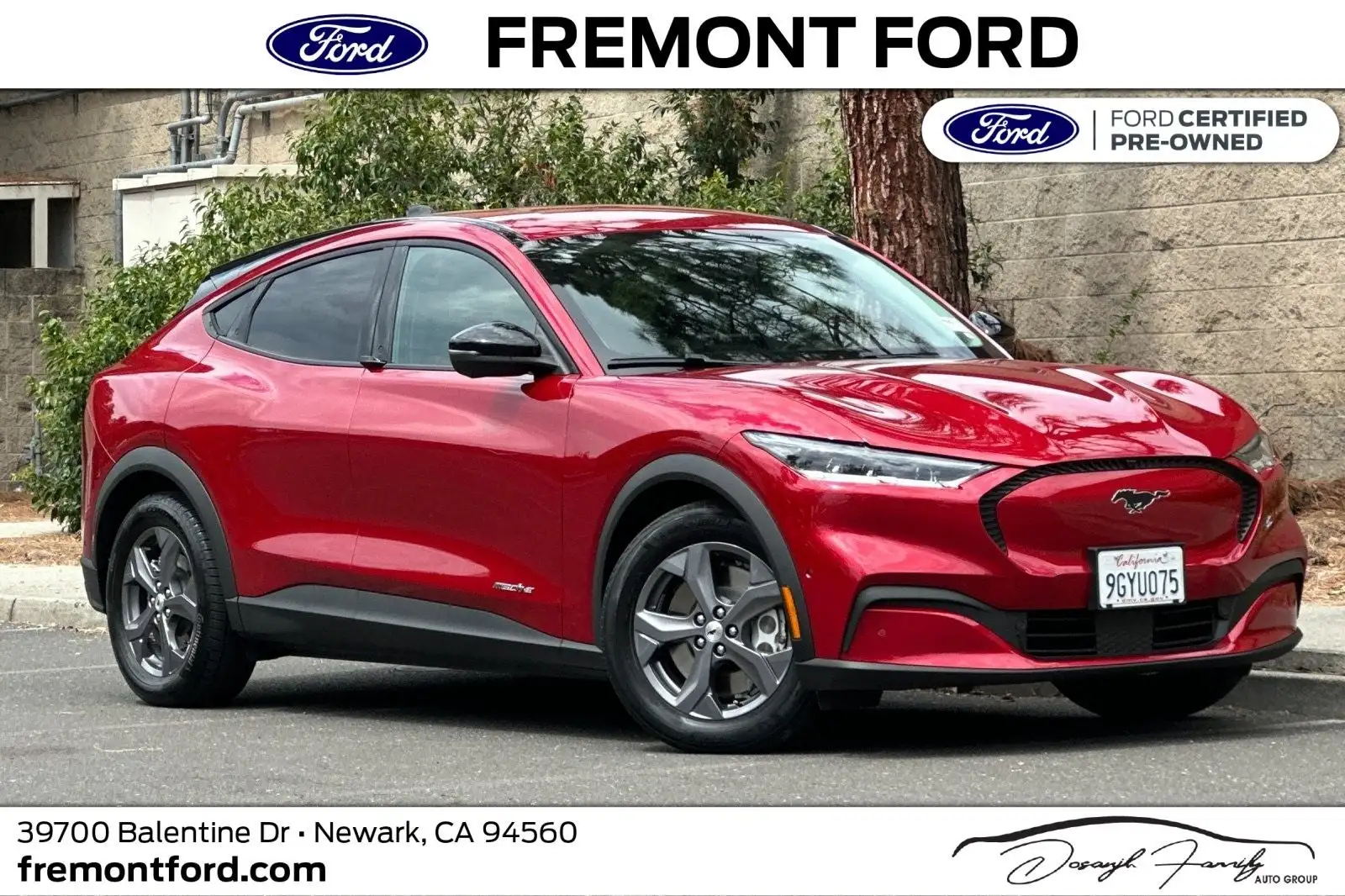 2023 Ford Mustang-Mach-e Select's photo