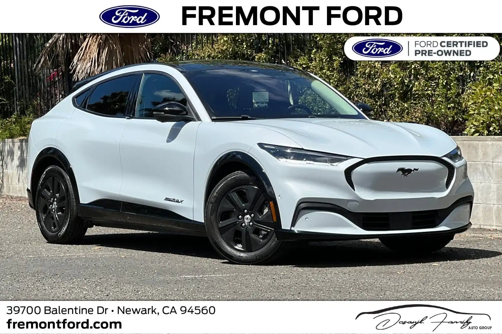 2023 Ford Mustang-Mach-e California Route 1's photo