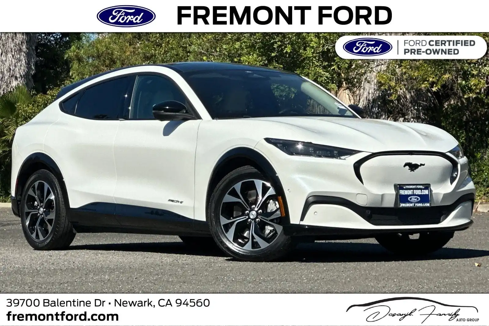 2023 Ford Mustang-Mach-e Premium's photo