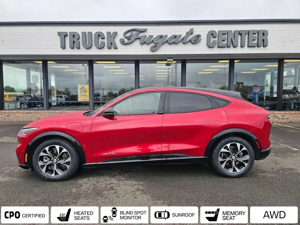 2021 Ford Mustang-Mach-e Premium photo 1