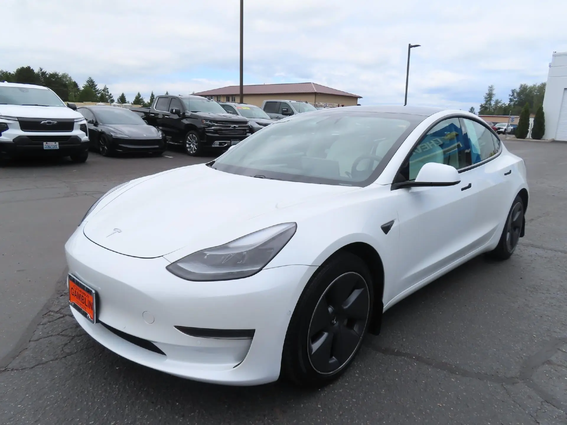 2021 Tesla Model 3 Standard Range photo 3