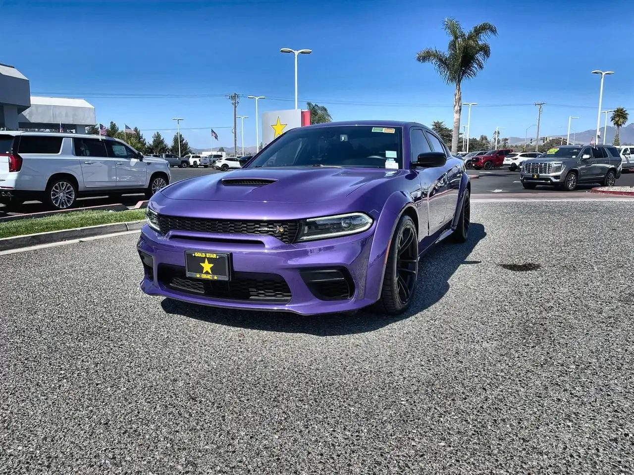 2023 Dodge Charger Scat Pack Widebody's photo
