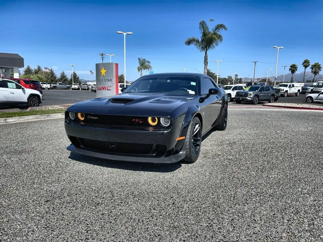 2023 Dodge Challenger R/T Scat Pack Widebody's photo