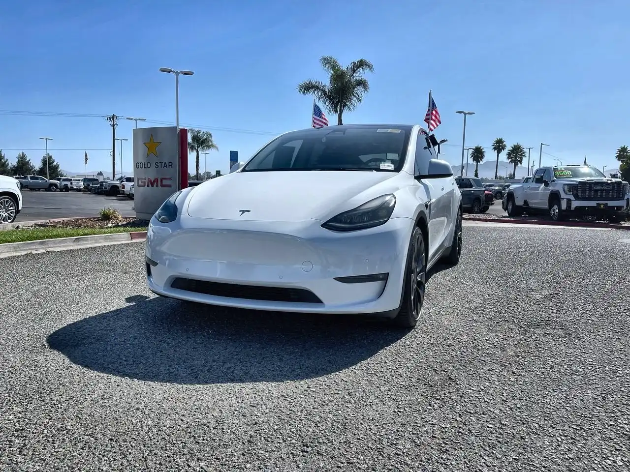 2022 Tesla Model Y Performance Dual Motor All-Wheel Drive's photo