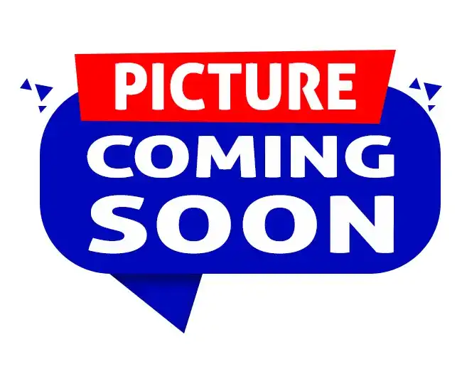 2023 Chrysler Voyager LX's photo