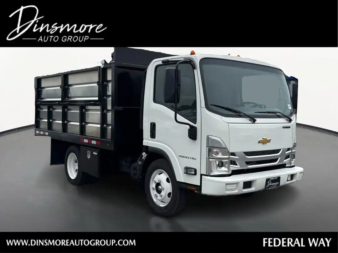 2025 Chevrolet Low Cab Forward 4500 Gas 176" WB Regular Cab's photo