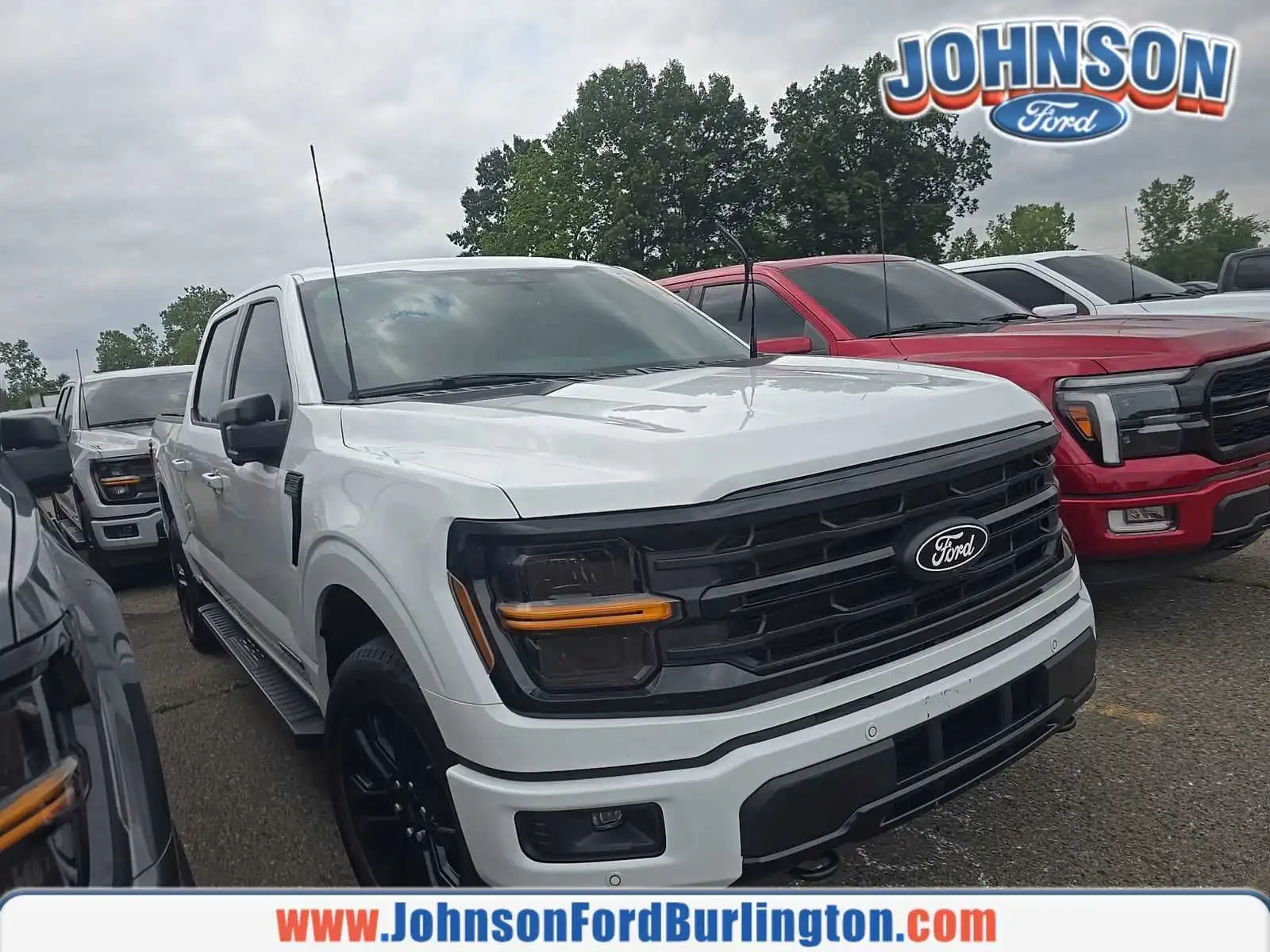 2024 Ford F-150 XLT 4x4 SuperCrew 5-1/2 Box's photo
