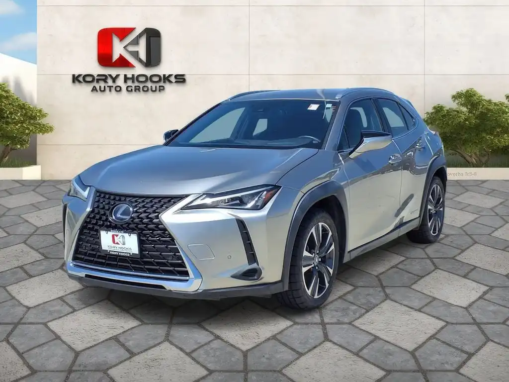 2021 Lexus UX 300h 250h AWD's photo