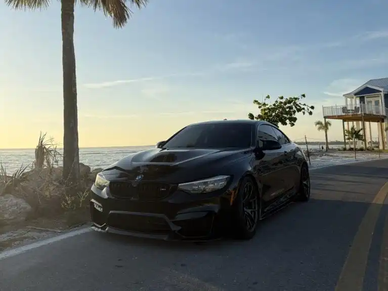 2019 BMW M4 CS's photo