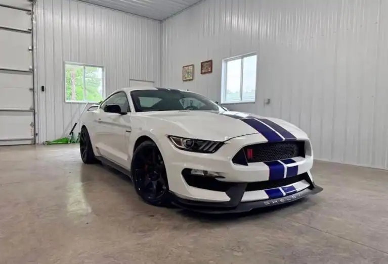 2016 Ford Mustang Shelby GT350R's photo