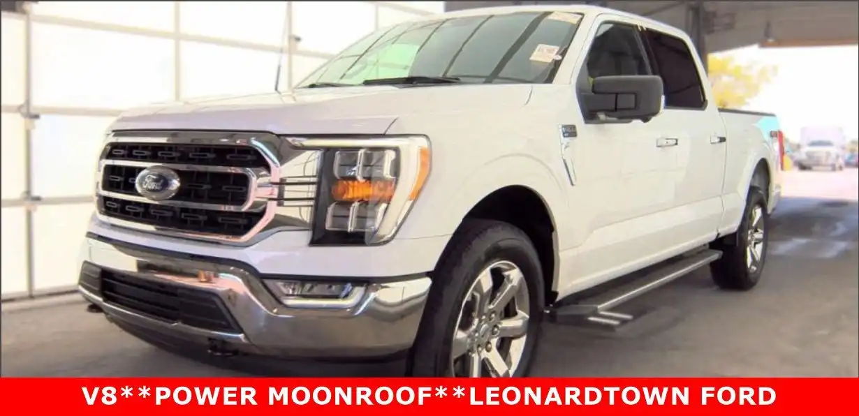 2023 Ford F-150 XLT 4WD SuperCrew 6-1/2' Box's photo