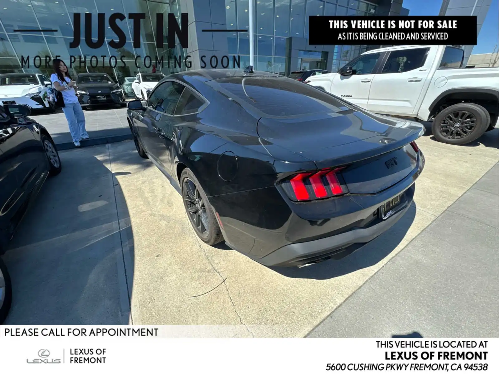 2024 Ford Mustang Premium Fastback GT's photo