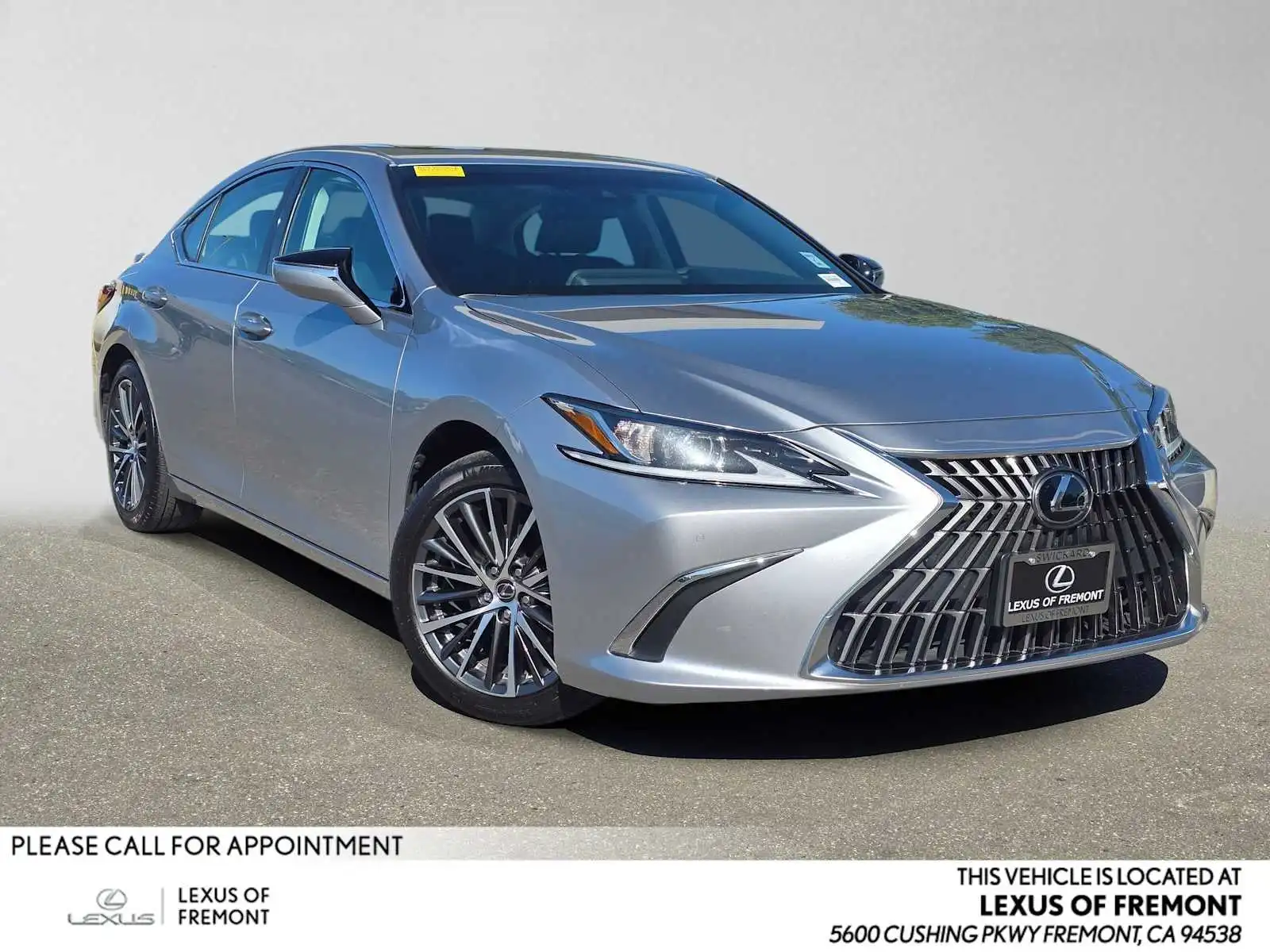 2023 Lexus ES 300h 300h's photo